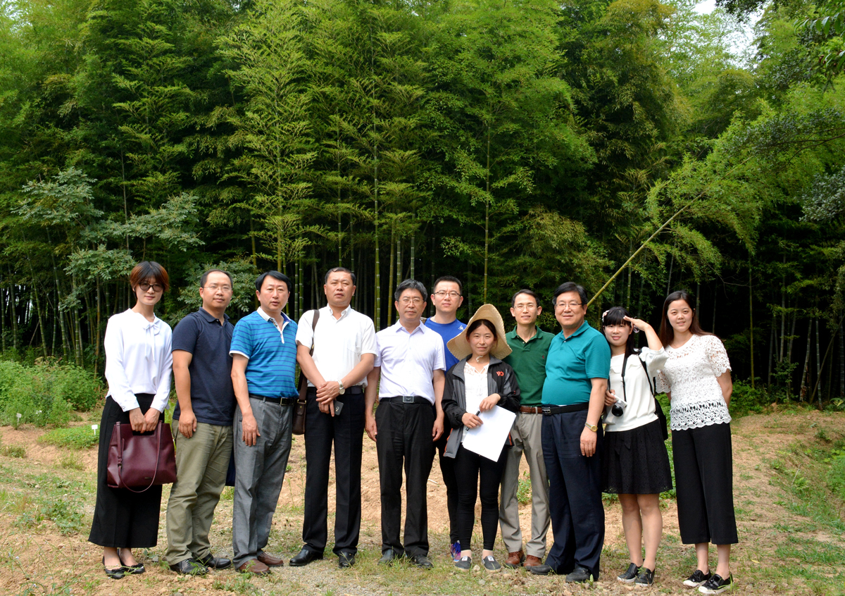 江苏原生园中草药研究基地.jpg